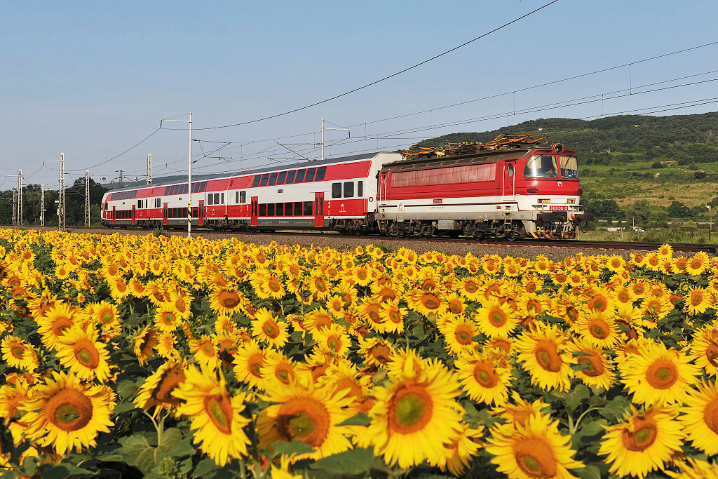 240.136 Pezinok zastávka (8.7. 2013) - na Os 3019 z Bratislavy do Leopoldova jako náhrada za lokomotivu 263 (381)