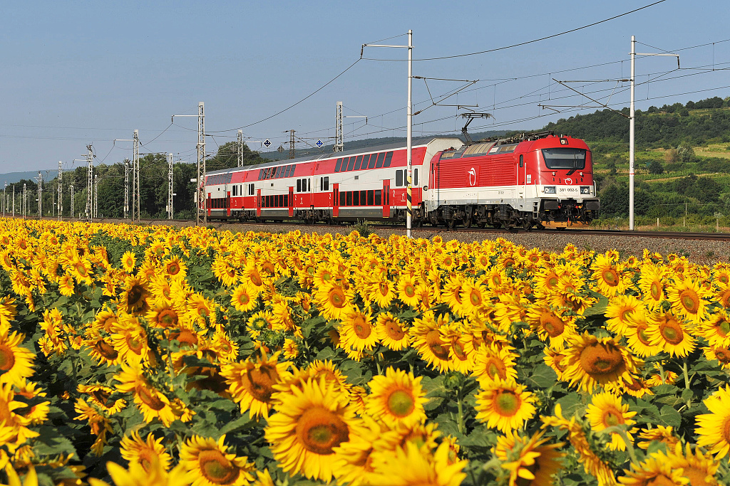 381.002 Pezinok (8.7. 2013) - Os 2011 ze stanice Kúty přes Bratislavu do Leopoldova
