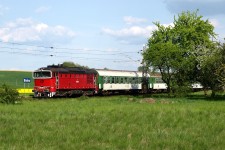 750.285 Blešno (8.5. 2008)