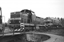 T466.0229 Dolní Lipka (6.10. 1984)