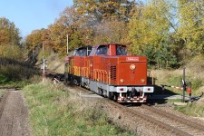 725.298 Plchvky (7.11. 2020) - spolen s 725.294