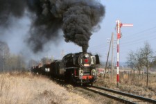 556.0506 Borovany (20.4. 2003)