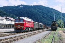 T679.1529 Hanuovice (26.7. 2003) 