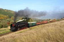 464.001 Raztono - Handlov (12.10. 2008)