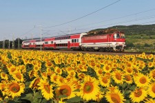 240.136 Pezinok zastvka (8.7. 2013)