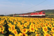 381.001 Pezinok zastvka (7.7. 2013)