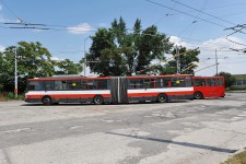 6620 Bratislava (8.7. 2013) - ilisk