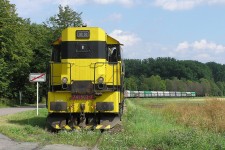 741.503 esk Mezi (15.8. 2004) - spolen s 742.520