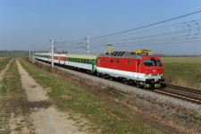 350.007 Oponek (8.4. 2010)