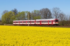 843.010 Pedmice nad Labem (20.4. 2007)