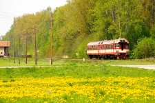 854.015 Lpa nad Orlic (7.5. 2006)