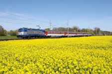 380.004 Star Koln (17.4. 2014)