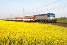 380.012 Star Koln (28.4. 2014)