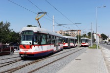 Olomouc (19.7. 2014) - Tramvaj inv. č.113, více foto v adresáři MHD