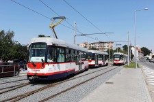 Olomouc (19.7. 2014) - Tramvaj inv. .113, vce foto v adresi MHD