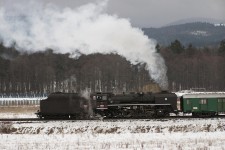 556.036 Turiansk Teplice (22.2. 2004)        