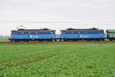 123.003 Oponek (17.11. 2014) - spolen s 122.011