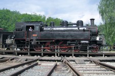 354.1217 Lun u Rakovnka (26.6. 2004)    