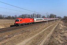 1216.236 Oponek (26.2. 2011)