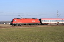 1216.238 Oponek (26.2. 2011)