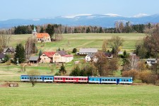 843.004 Borovnika (3.4. 2016)