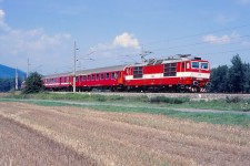 263.009 Bzenica - arnovica (5.8. 2003) - R 802