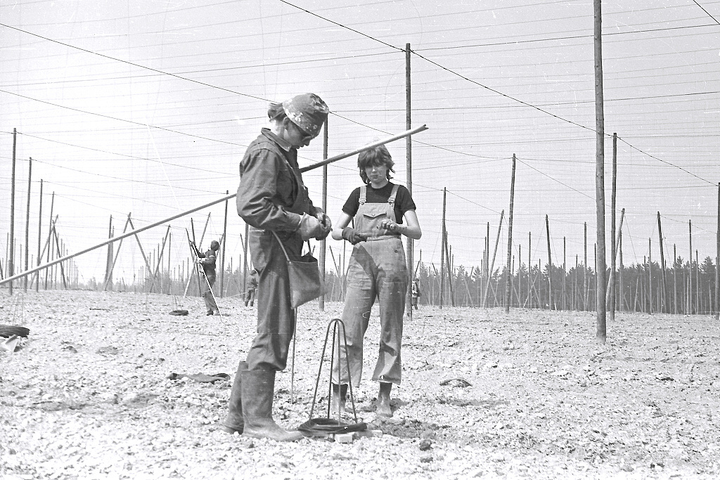 Zbynk, Jana (Vinaice 04/1986)