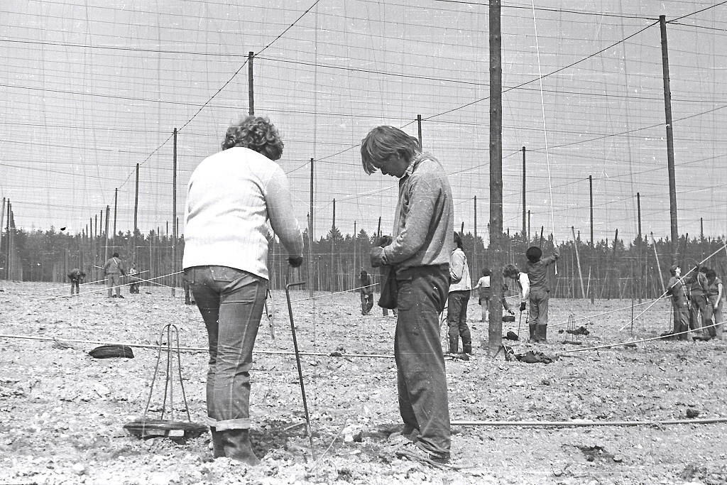 Olina, Va (Vinaice 04/1986)