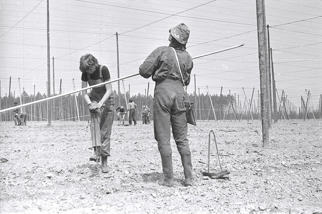 Zbynk, Jana (Vinaice 04/1986)