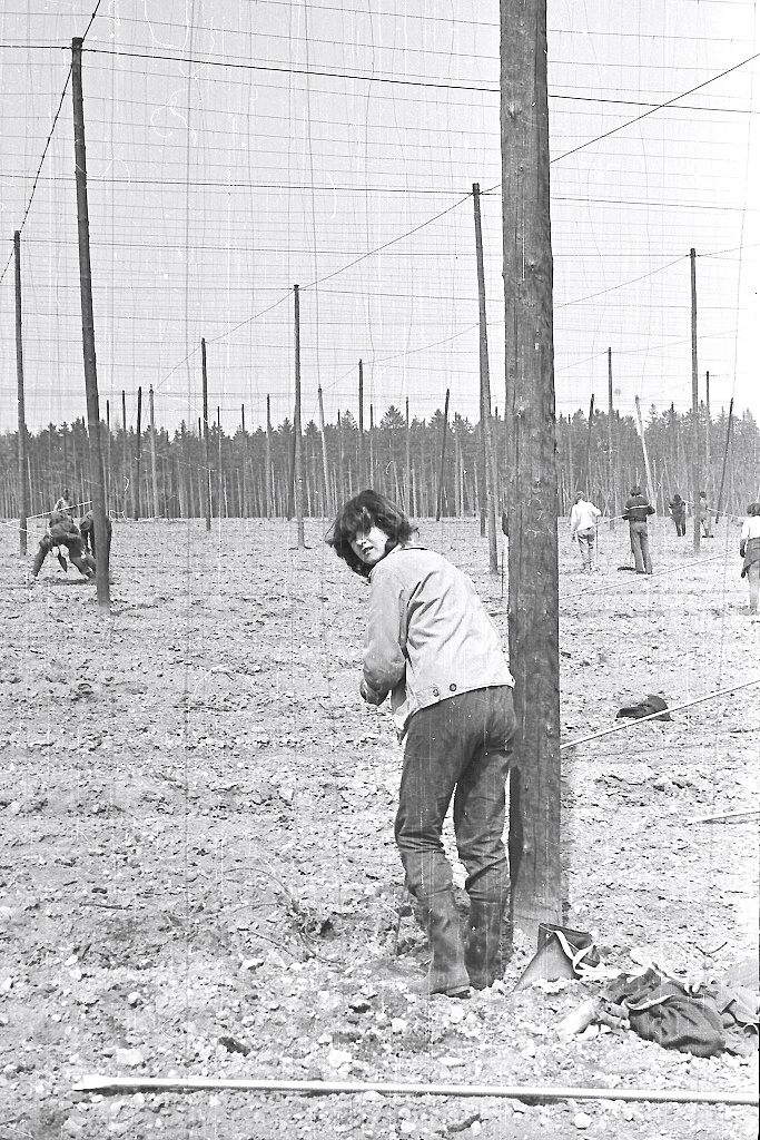 Angelika (Vinaice 04/1986)