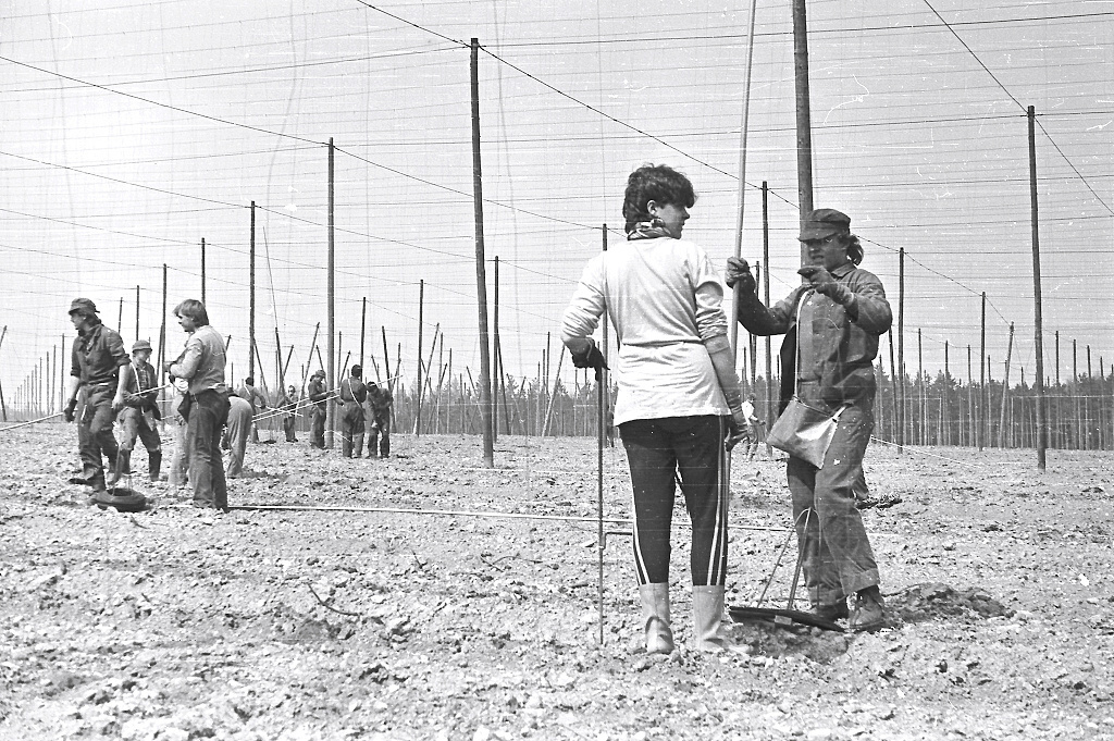 Zdena, Bohou (Vinaice 04/1986)
