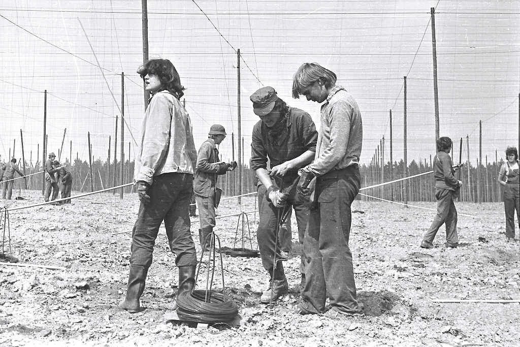 Angelika, Pepa, Va (Vinaice 04/1986)