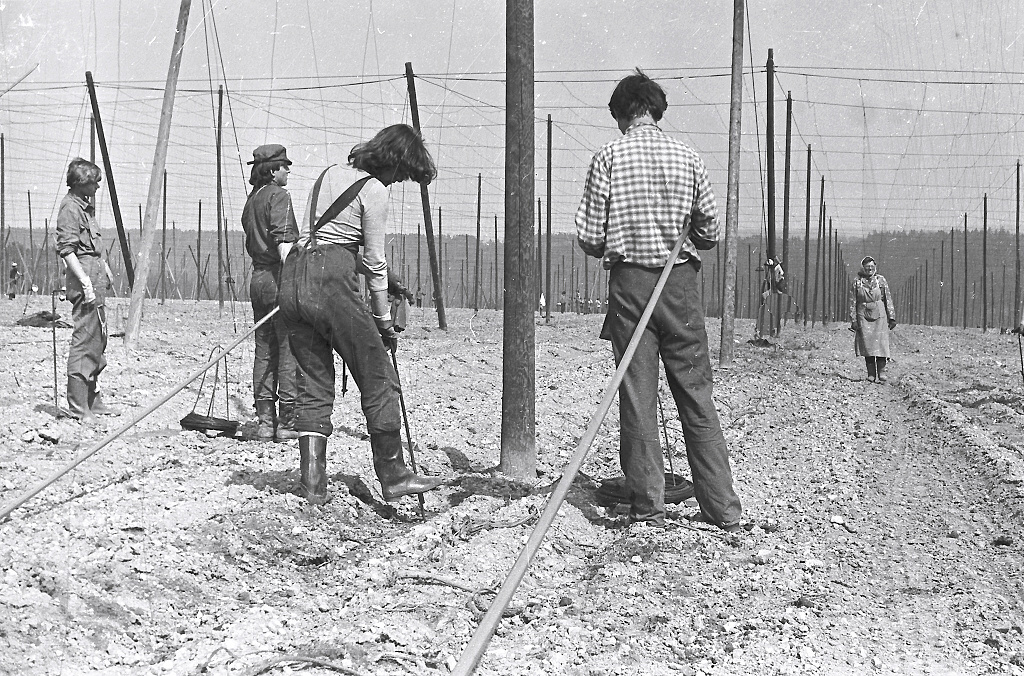 Romana, Pepa, Angelika, Vla (Vinaice 04/1986)